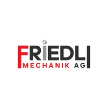 Friedli Mechanik AG Logo